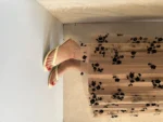 پاشنه انگشتی ۳سانت - Image 8